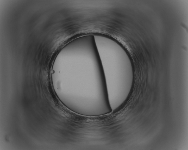 X0000093150487200709261019