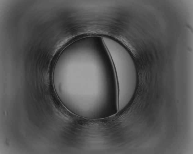 X0000093150488200709261019