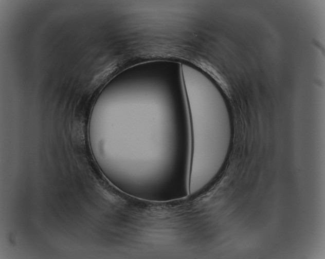 X0000093150489200709261019