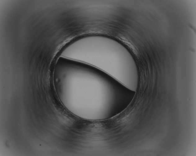 X0000093150492200709261019