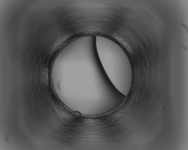 X0000093150494200709261019