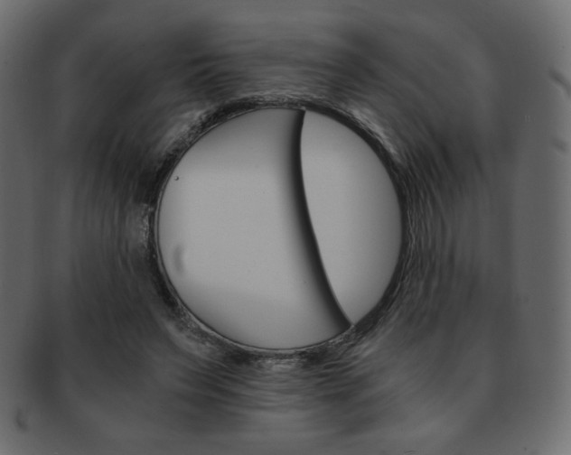 X0000093150495200709261019