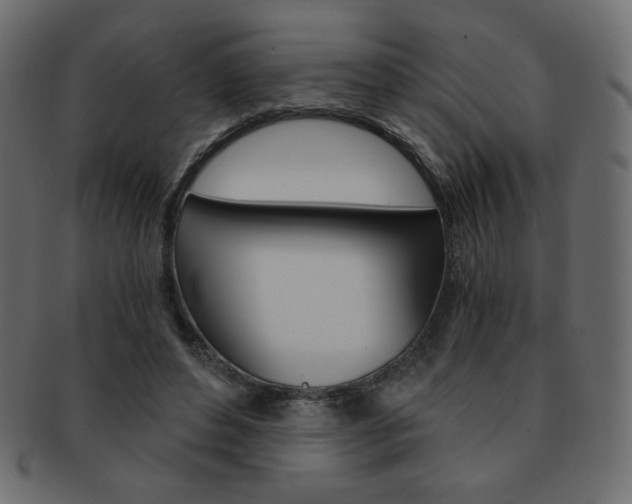 X0000093150496200709261019