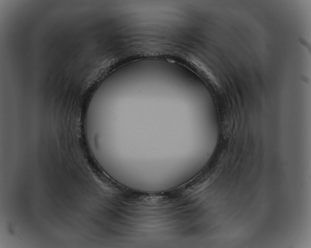 X0000093150497200709261019