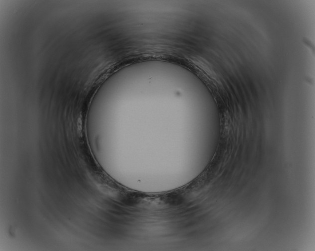 X0000093150502200709261019