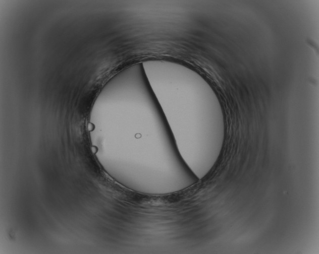 X0000093150503200709261019