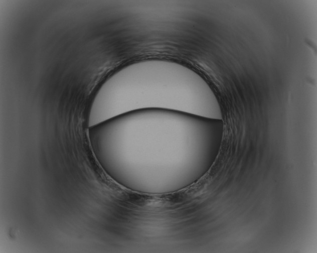 X0000093150504200709261019