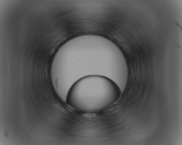 X0000093150508200709261019