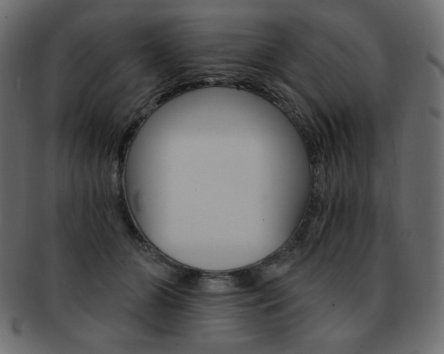 X0000093150510200709261019