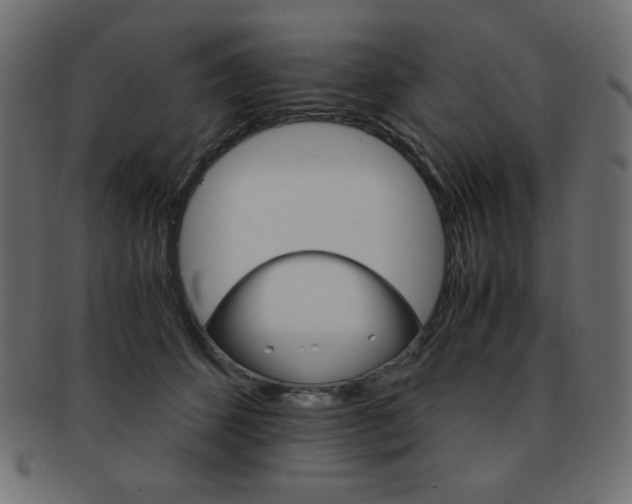 X0000093150512200709261019