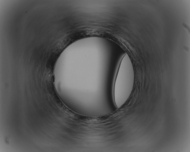 X0000093150513200709261019