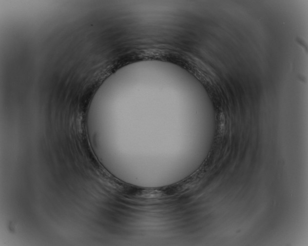 X0000093150514200709261019