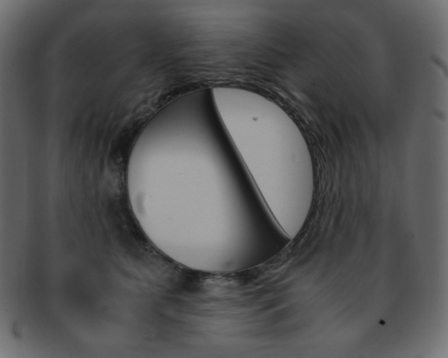 X0000093150515200709261019