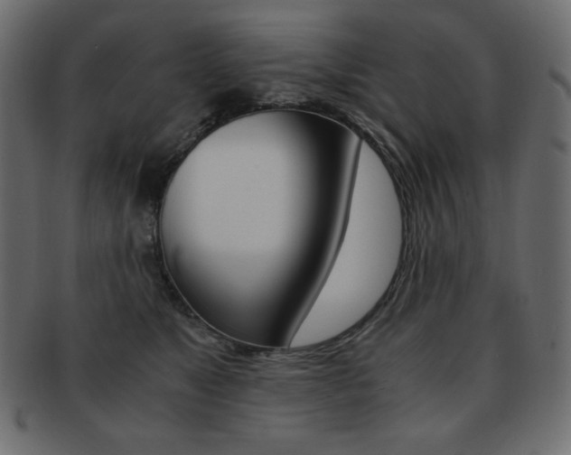X0000093150517200709261019