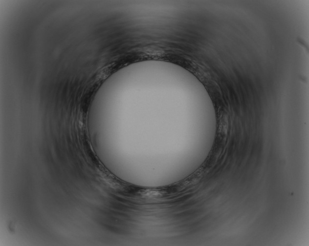 X0000093150518200709261019