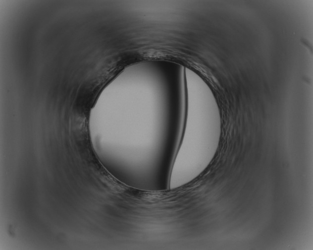 X0000093150521200709261019