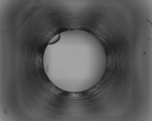 X0000093150522200709261019