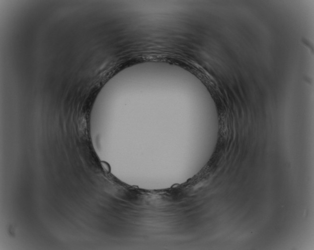X0000093150523200709261019