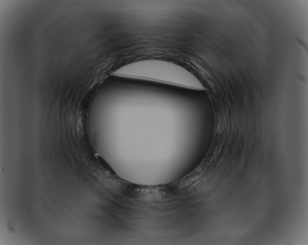X0000093150524200709261019