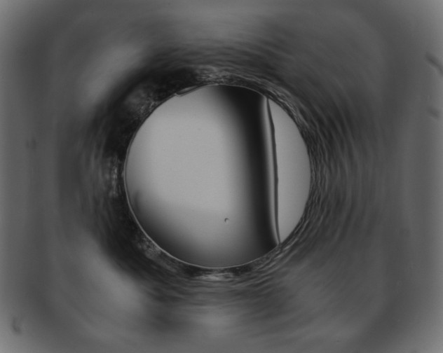 X0000093150525200709261019