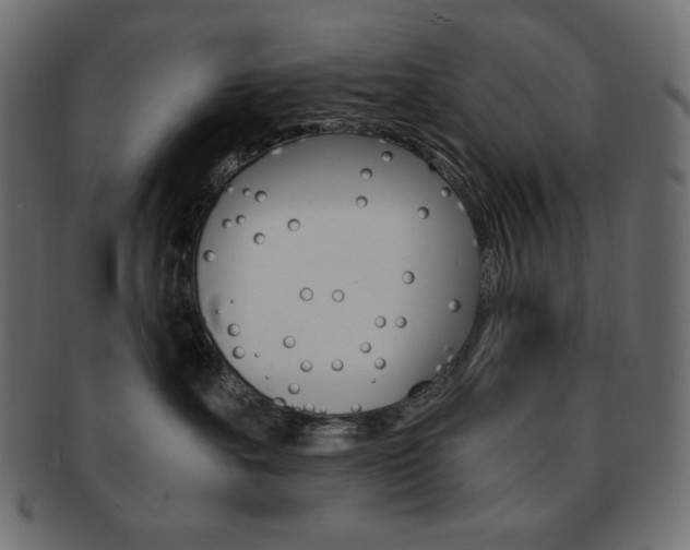 X0000093150527200709261019