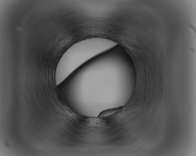 X0000093150528200709261019