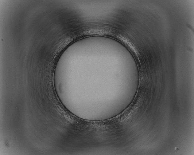 X0000093150529200709261018