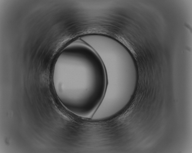 X0000093150530200709261018