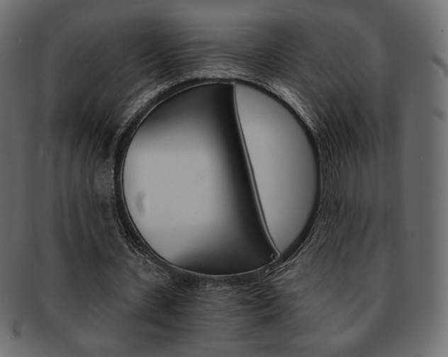 X0000093150531200709261018