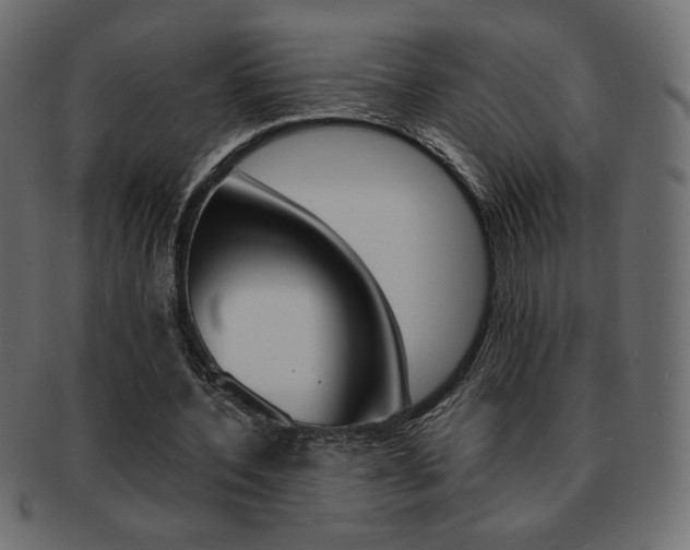 X0000093150532200709261018