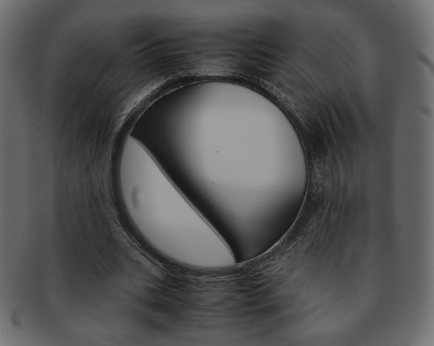 X0000093150535200709261018