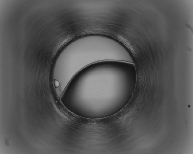 X0000093150538200709261018
