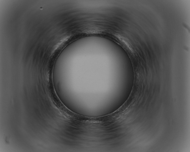 X0000093150539200709261018