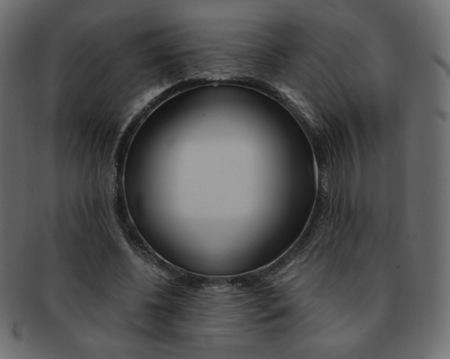 X0000093150540200709261018