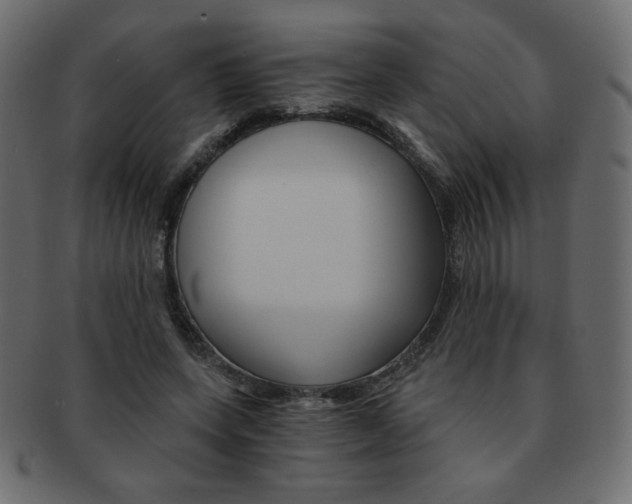 X0000093150543200709261018