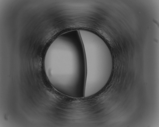 X0000093150544200709261018