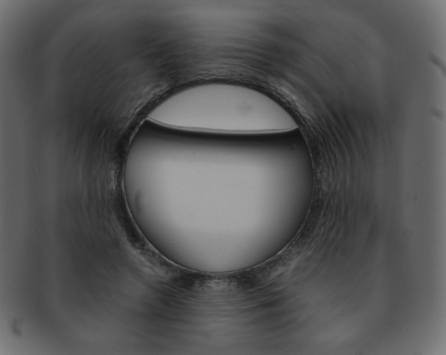 X0000093150546200709261018