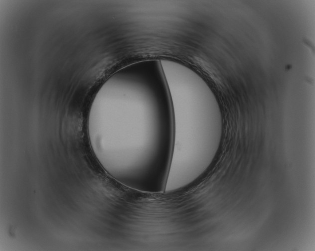 X0000093150548200709261018