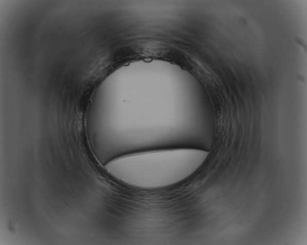 X0000093150554200709261018