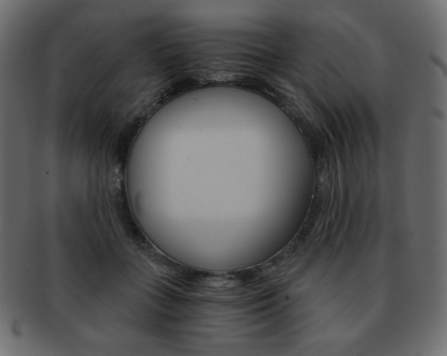 X0000093150555200709261018