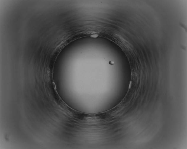 X0000093150556200709261018