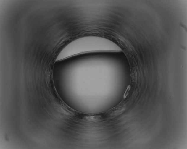 X0000093150558200709261019