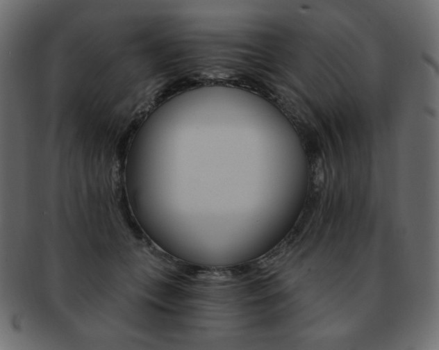 X0000093150559200709261019