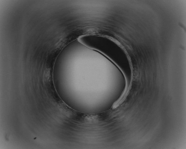 X0000093150560200709261019
