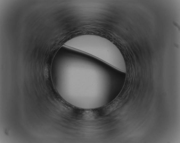 X0000093150562200709261019