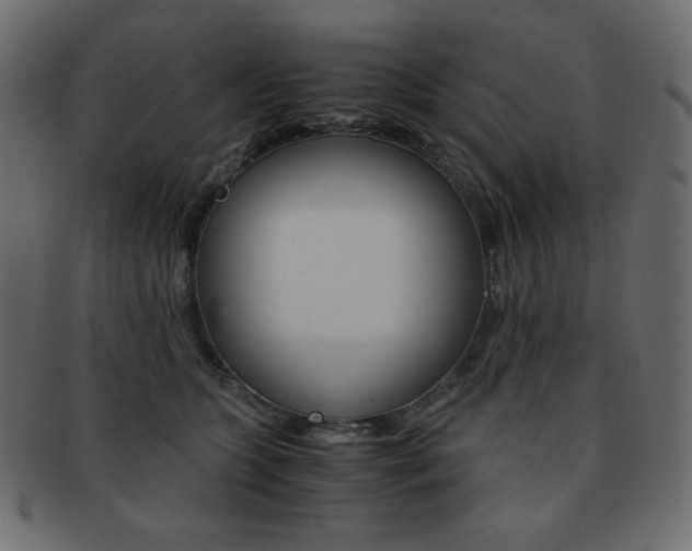 X0000093150563200709261019