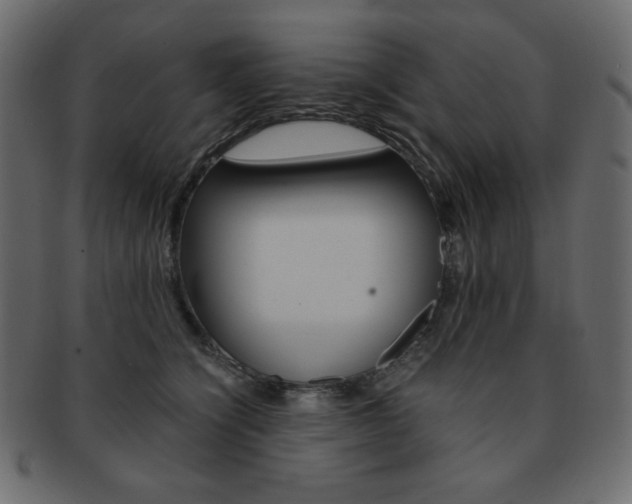 X0000093150564200709261019