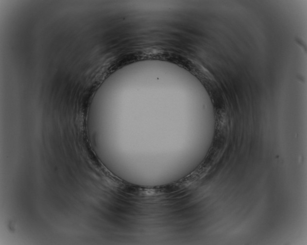 X0000093150565200709261019
