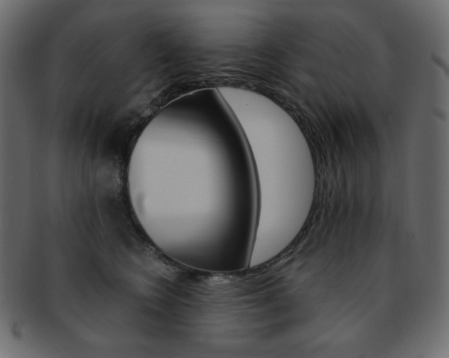 X0000093150566200709261019