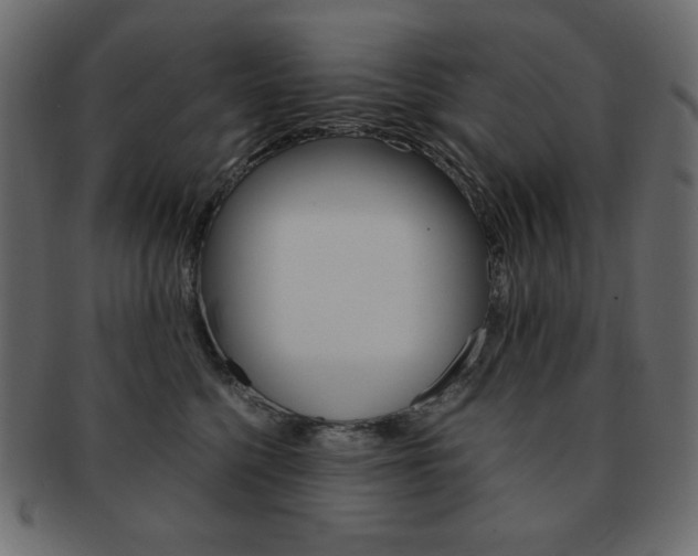 X0000093150568200709261019